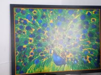 Walasse Ting, Peacock