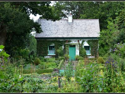 Looking for long-term rental